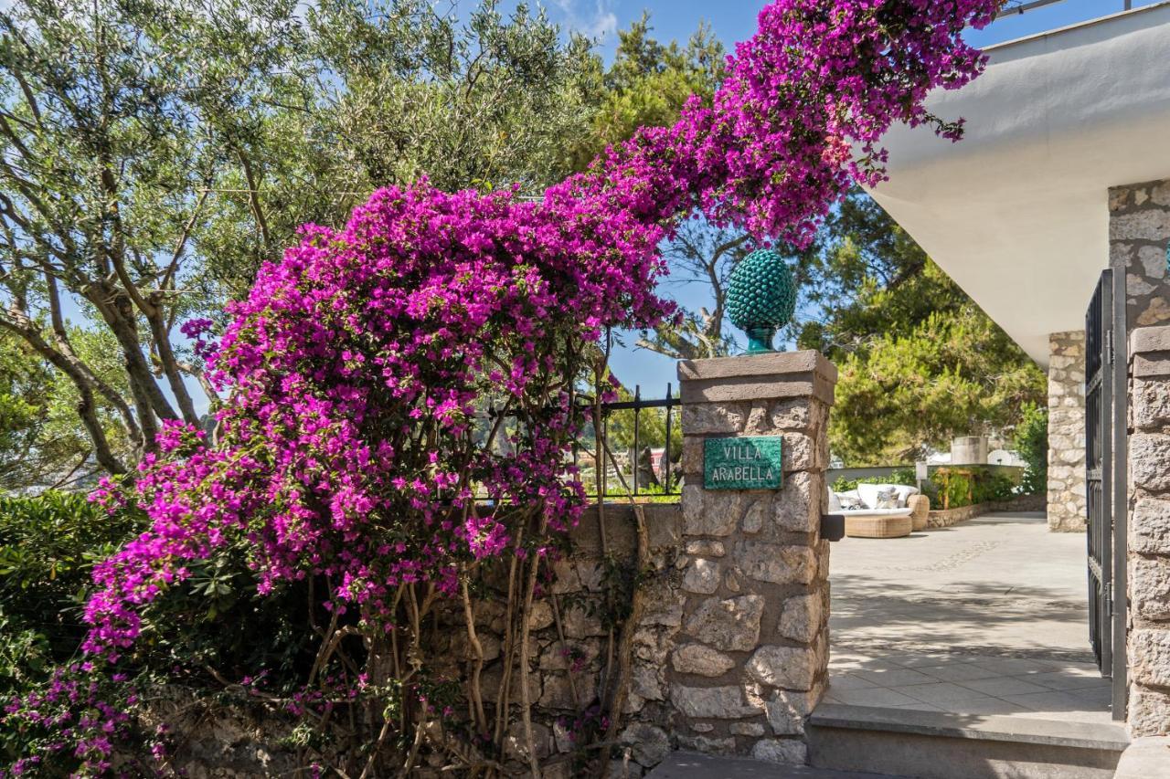 Villa Arabella Capri Extérieur photo